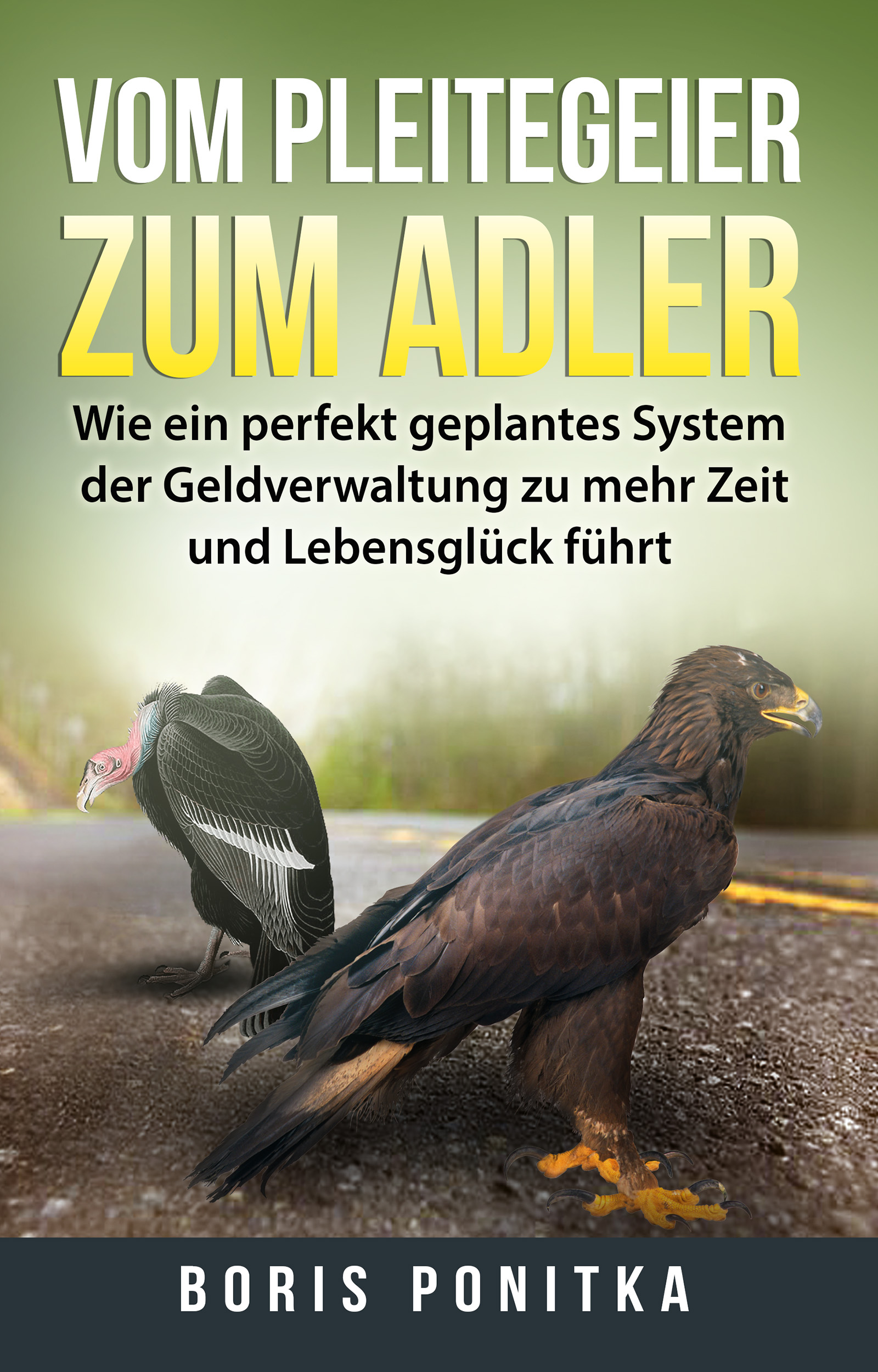 Vom Pleitegeier zum Adler - Cover des Buches von Boris Ponitka